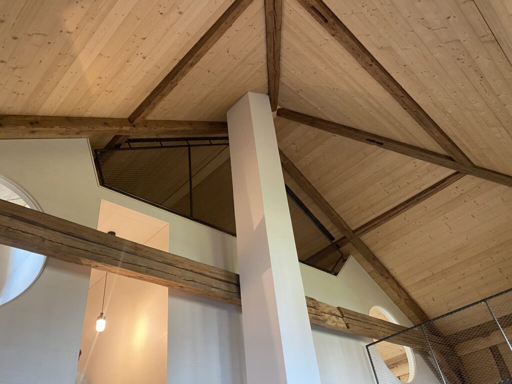 IMG 0742